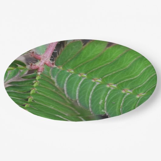 Mini Green Leaf Paper Bord (Gekanteld)
