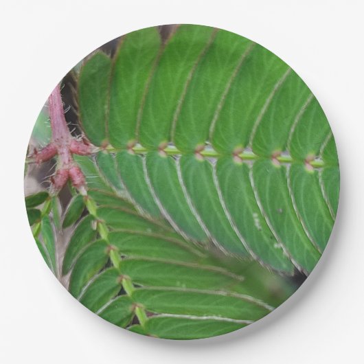 Mini Green Leaf Paper Bord (Voorkant)