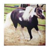 Mini Horse bij Liberty Tegeltje (Voorkant)