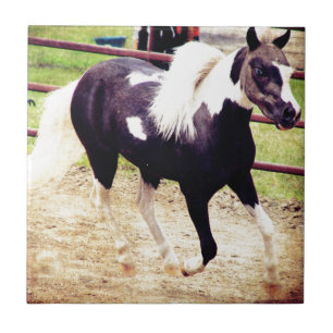 Mini Horse bij Liberty Tegeltje