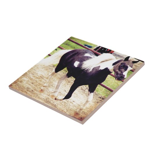 Mini Horse bij Liberty Tegeltje (Zijkant)