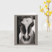 Mini Horse Colt - "Baby Face" Kaart (Gele Bloem)
