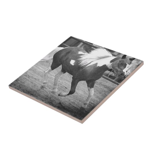 Mini Horse Gallops Tegeltje (Zijkant)