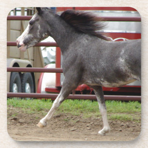 Mini Horse in de Liberty Class Bier Onderzetter