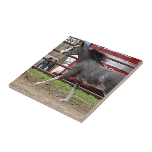 Mini Horse in de Liberty Class Tegeltje (Zijkant)