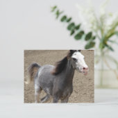 Mini Horse in Liberty Class op een Show van paarde Briefkaart (Staand voorkant)