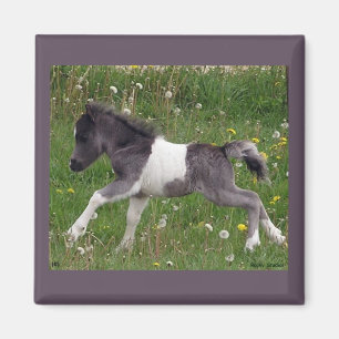 Mini Horse Magnet