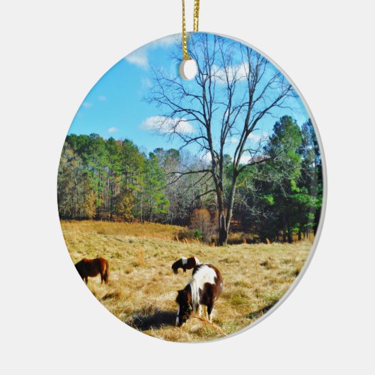 Mini Horses Keramisch Ornament (Links)