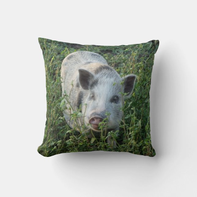 Mini Juliana Pet Pig Kussen (Voorkant)