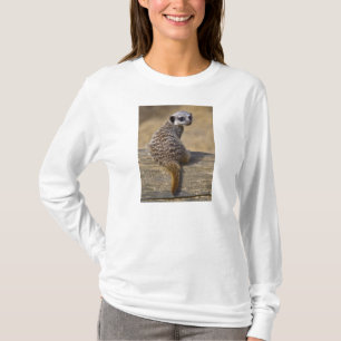 Mini Kat Tee T-shirt