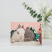 Mini-konijnen Briefkaart (Staand voorkant)