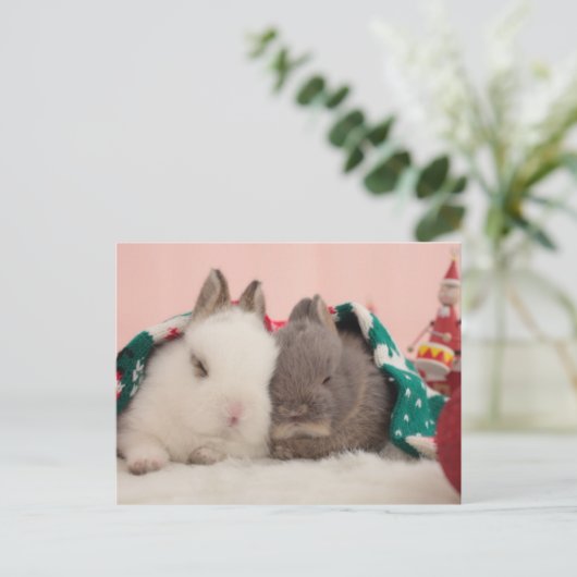 Mini-konijnen Briefkaart (Staand voorkant)