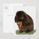 Mini Lop Bunny en wortelen Briefkaart (Voorkant / Achterkant)