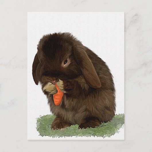 Mini Lop Bunny en wortelen Briefkaart (Voorkant)