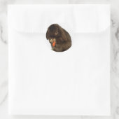 Mini Lop Bunny en wortelen Ronde Sticker (Tas)