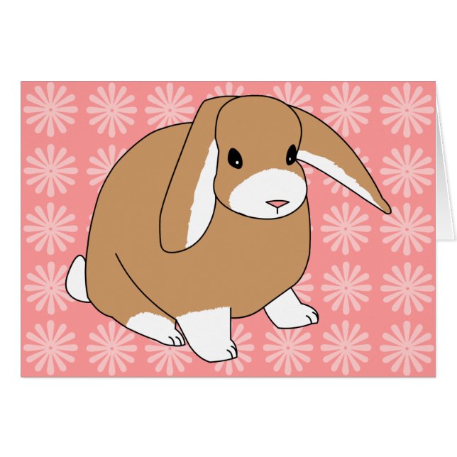 Mini Lop Rabbit (Voorkant Horizontaal)
