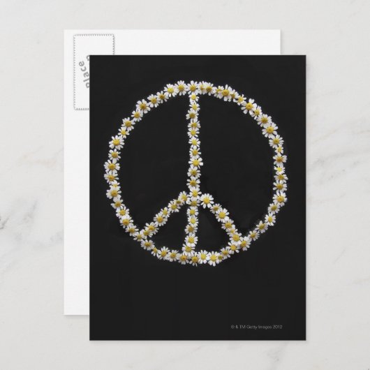 Mini madeliefjes in een vredessymbool briefkaart (Voorkant / Achterkant)