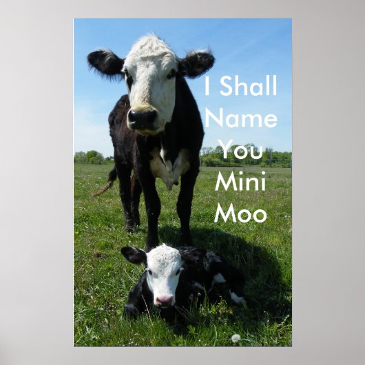 Mini-Moo Poster (Voorkant)