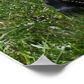 Mini-Moo Poster (Hoek)