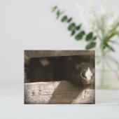 Mini-neus over Gate Briefkaart (Staand voorkant)