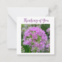 Mini Notes "Thinking of You"