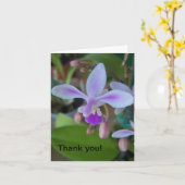 Mini-orchidee dichtbij kaart (Gele Bloem)