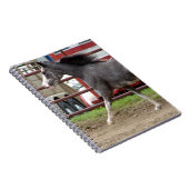 Mini-paard in vrijheidsklasse notitieboek (Rechterzijde)