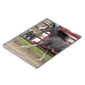 Mini-paard in vrijheidsklasse notitieboek (Linkerzijde)