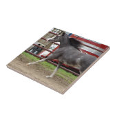 Mini-paarden in vrijheidsklasse tegeltje (Zijkant)