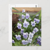 Mini Paarse Violets Flowers Briefkaart (Voorkant / Achterkant)