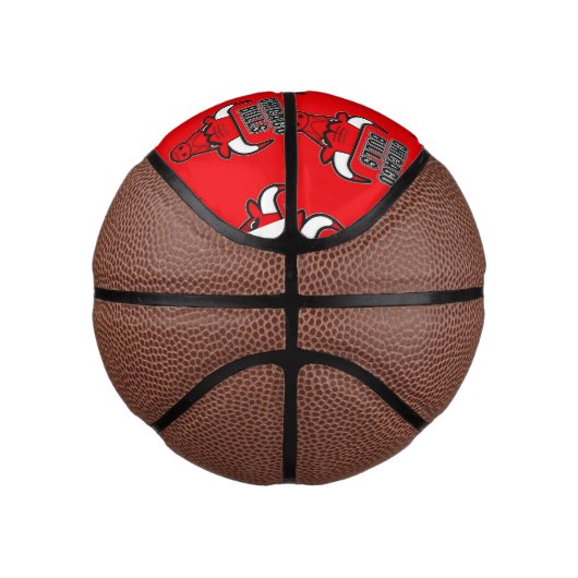 Mini palla da Basketball Chicago Bulls Basketbal (Rechts)