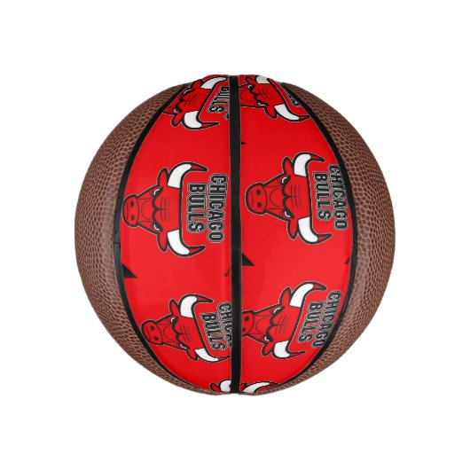 Mini palla da Basketball Chicago Bulls Basketbal (Verticaal)