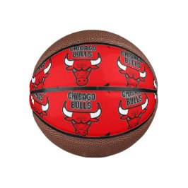 Mini palla da Basketball Chicago Bulls Basketbal