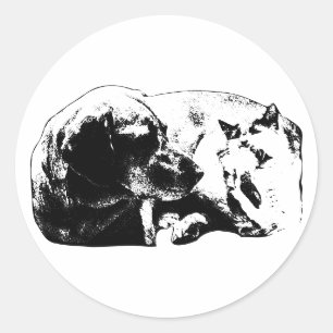 Mini Pals - Hond ontmoet Kat Ronde Sticker