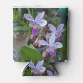 mini Phal-orchideeën Blikjeskoeler (Voorkant)