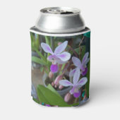 mini Phal-orchideeën Blikjeskoeler (Blikje Achterkant)