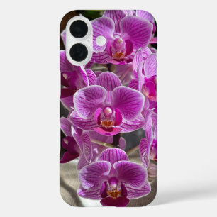 Mini Phalaenopsis Sogo Vivien Paarse orchideebloem iPhone 16 Hoesje