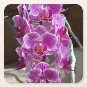 Mini Phalaenopsis Sogo Vivien Paarse orchideebloem Kartonnen Onderzetters