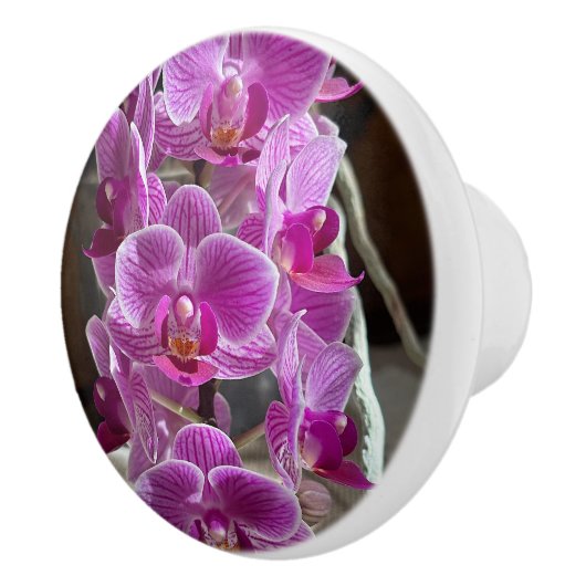 Mini Phalaenopsis Sogo Vivien Paarse orchideebloem Keramische Knop (Rechts)