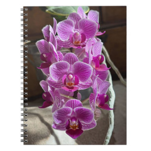 Mini Phalaenopsis Sogo Vivien Paarse orchideebloem Notitieboek