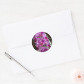 Mini Phalaenopsis Sogo Vivien Paarse orchideebloem Ronde Sticker (Envelop)