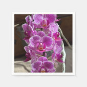 Mini Phalaenopsis Sogo Vivien Paarse orchideebloem Servet (Voorkant)
