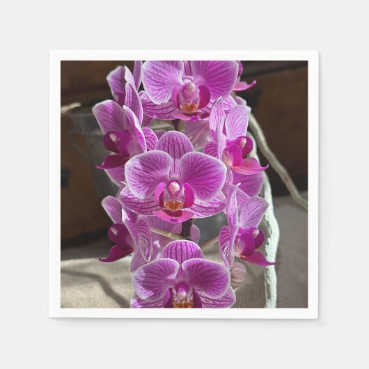 Mini Phalaenopsis Sogo Vivien Paarse orchideebloem Servet (Voorkant)