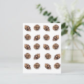 Mini Pine Cones op wit Briefkaart (Staand voorkant)