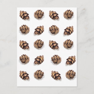 Mini Pine Cones op wit Briefkaart
