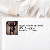 mini pinscher. etiket (Insitu)