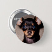 mini pinscher. ronde button 5,7 cm (Voorkant /achterkant)