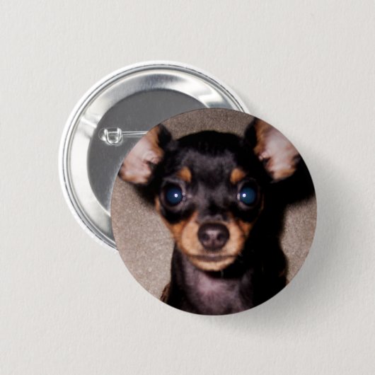 mini pinscher. ronde button 5,7 cm (Voorkant /achterkant)
