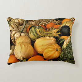 Mini pompoenen en kalebassen assortiment Herfst fo Accent Kussen