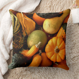 Mini pompoenen en kalebassen assortiment Herfst fo Kussen